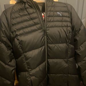 Winter jacket (puma)